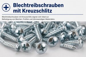 Stahl verzinkt Kreuzschlitz