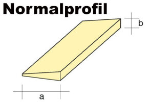 Endleisten Normalprofil