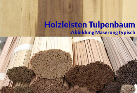 Modellbauleisten Tulpenbaum
Tulpenbaum...