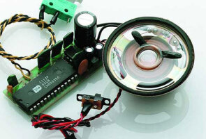 Soundmodule