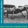 Bauplan FIESELER STORCH