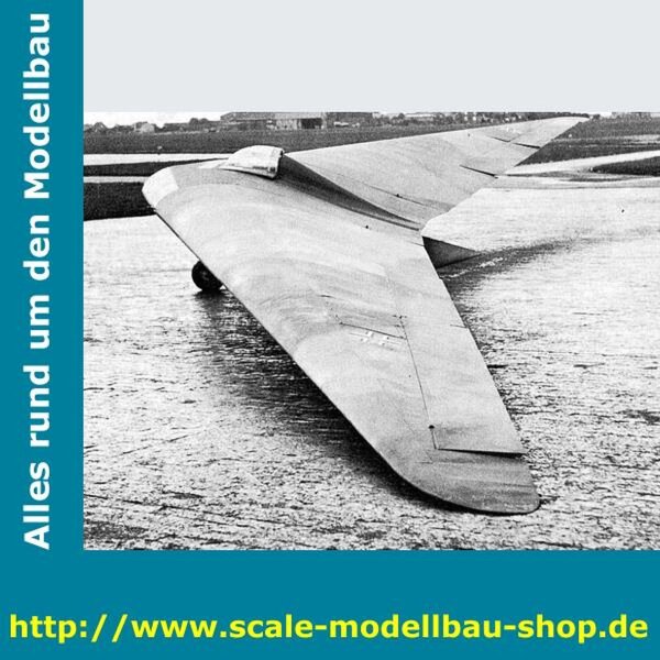 Bauplan HORTEN III