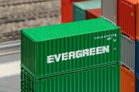 20 Container EVERGREEN