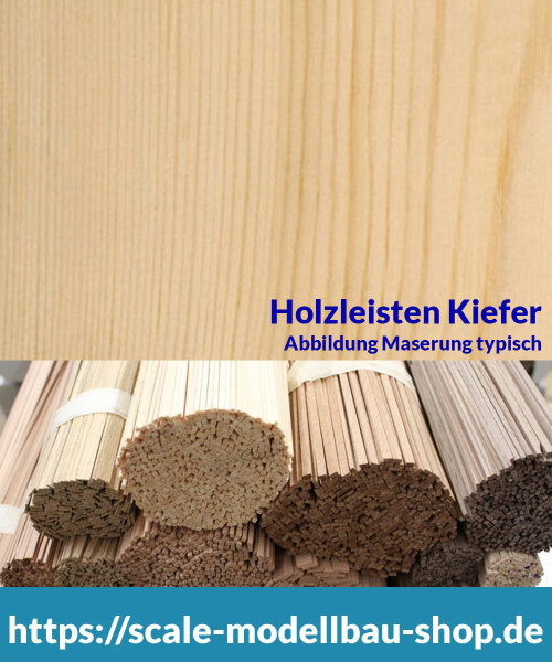 Kiefer Holzleiste  0,6/0,7 x  10 mm