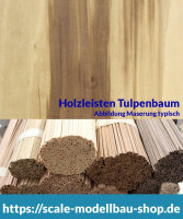 Tulpenbaum Holzleiste  2 x  4 mm