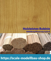 Robinie Holzleiste  2 x  8 mm