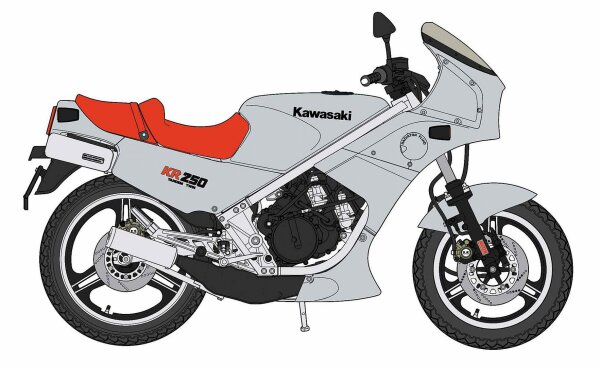 1/12 Kawasaki KR250, Silver Color