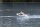 Naval Rescue Boat