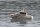Naval Rescue Boat