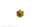 S-Schr.Ms 6Bl.D 25/M4l