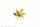S-Schr.Ms 6Bl.B 50/M4 r
