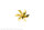 S-Schr.Ms 6Bl.B 70/M5 r