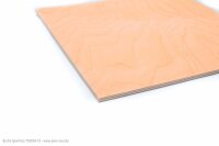 LEICHT-SPH 300x300x3,0mm