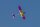 aeronaut (130500)