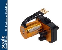 Dpower BEAST TX BL Truggy RTR 1/10 Brushless