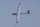 Dpower D-Power ASW-17 - 350cm Scale Segler voll-GFK ARF+