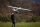 Dpower D-Power ASW-17 - 350cm Scale Segler voll-GFK ARF+