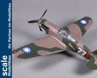 Dpower FMS P-40B Curtiss Warhawk Flying Tiger PNP - 98 cm - - Combo incl. Reflex