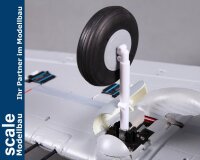Dpower FMS P-40B Curtiss Warhawk Flying Tiger PNP - 98 cm - - Combo incl. Reflex