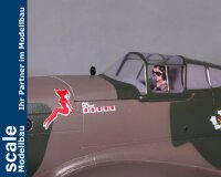 Dpower FMS P-40B Curtiss Warhawk Flying Tiger PNP - 98 cm - - Combo incl. Reflex