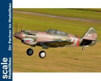 Dpower FMS P-40B Curtiss Warhawk Flying Tiger PNP - 140...