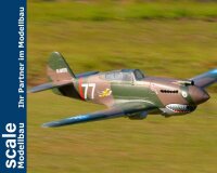Dpower FMS P-40B Curtiss Warhawk Flying Tiger PNP - 140 cm - Combo incl. Reflex