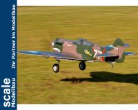 Dpower FMS P-40B Curtiss Warhawk Flying Tiger PNP - 140 cm - Combo incl. Reflex