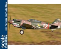 Dpower FMS P-40B Curtiss Warhawk Flying Tiger PNP - 140 cm - Combo incl. Reflex