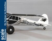 Dpower FMS Piper PA-18 Super Cub PNP + Schwimmer - 170 cm - Combo incl. Reflex