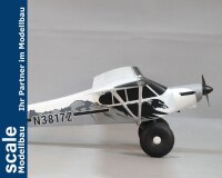 Dpower FMS Piper PA-18 Super Cub PNP + Schwimmer - 170 cm - Combo incl. Reflex