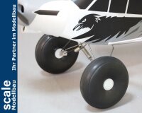 Dpower FMS Piper PA-18 Super Cub PNP + Schwimmer - 170 cm - Combo incl. Reflex