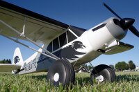 Dpower FMS Piper PA-18 Super Cub PNP - 170 cm Combo incl. Reflex Gyro System