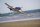 Dpower FMS P-51 Blue Thunder II PNP - 110 cm - inkl. Reflex Gyro