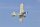 FMS Piper PA-18 Super Cub PNP -  130 cm - inkl. Reflex Gyro