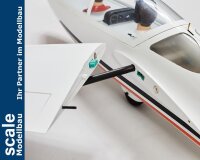 Dpower D-Power FOX - 215 cm Scale Segler voll-GFK ARF+
