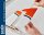 Dpower D-Power FOX - 215 cm Scale Segler voll-GFK ARF+