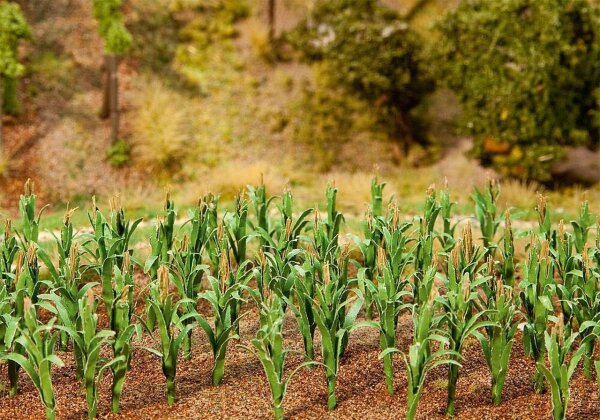 Faller 36 Maispflanzen