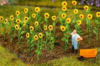 Faller 16 Sonnenblumen
