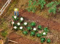 Faller 10 Grün - und 10 Blumenkohlkö