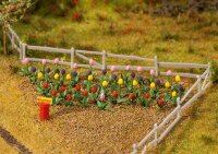 Faller 36 Tulpen