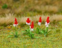 Faller 32 Orchideenprimeln