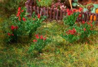 Faller 26 Rosen