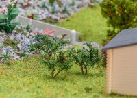 Faller 12 Heidelbeer- und Johannisbe