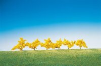 Faller 6 Forsythien, gelb blühend
