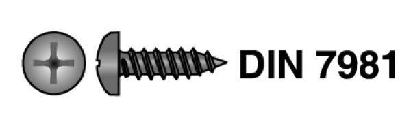BLECH-SCHR.2.9x6.5mm