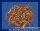 RUNDK-STIFT 1.0x13