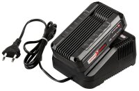 Einhell Werkzeugakku mit Schnellladegerät PXC Starter Kit Lithium-Ionen 2,5 Ah