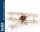 Artesania Latina 1/16 SOPWITH CAMEL F1  1918