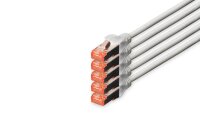 DIGITUS RJ45-Stecker/RJ-45 Stecker Netzwerkkabel...