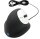 r-go HE Ergo Vertical Mouse Größe M rechts Maus ergonomisch kabelgebunden schwarz, silber